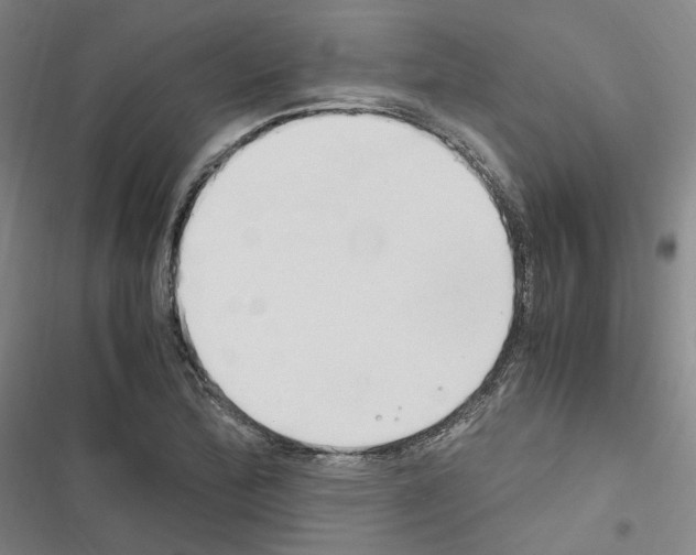 X0000116681172201001251253