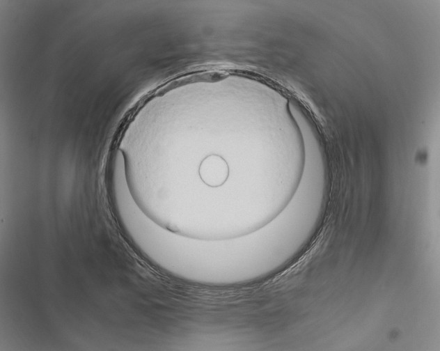 X0000116681173201001251253