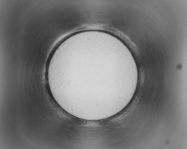 X0000116681174201001251253