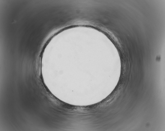 X0000116681175201001251253