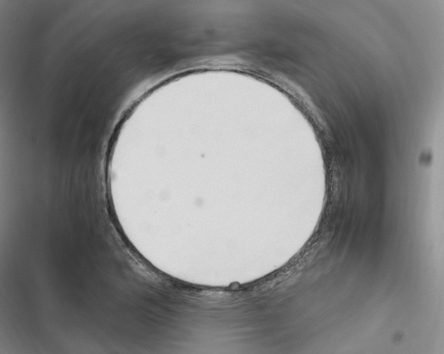 X0000116681176201001251253