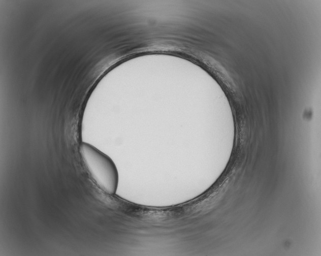 X0000116681177201001251253