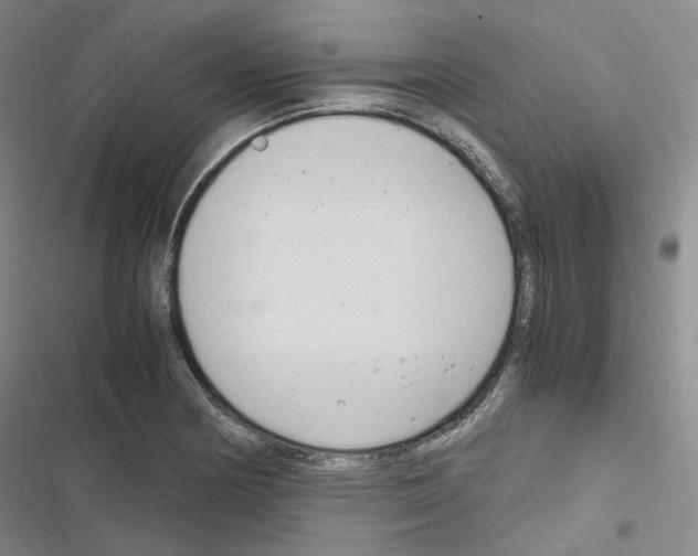 X0000116681178201001251253