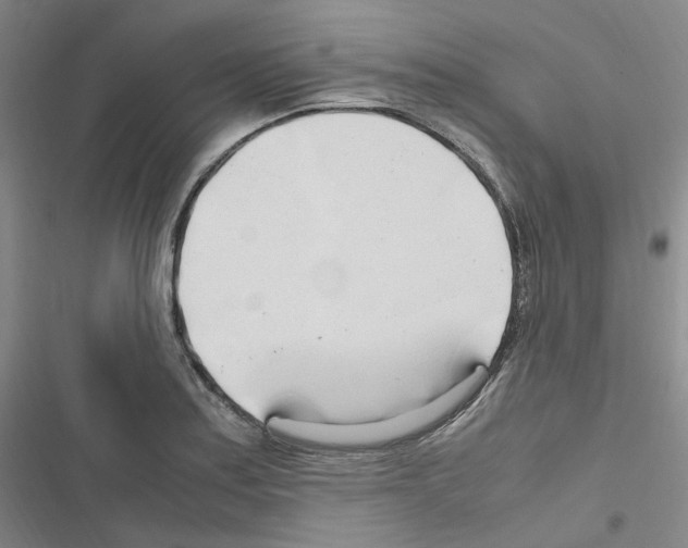 X0000116681179201001251253