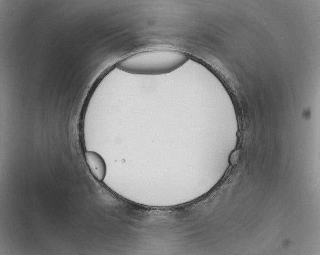 X0000116681181201001251253