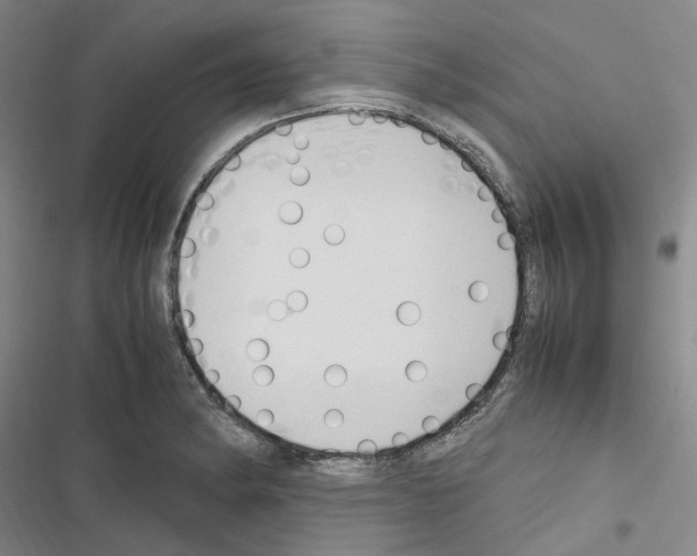 X0000116681182201001251253