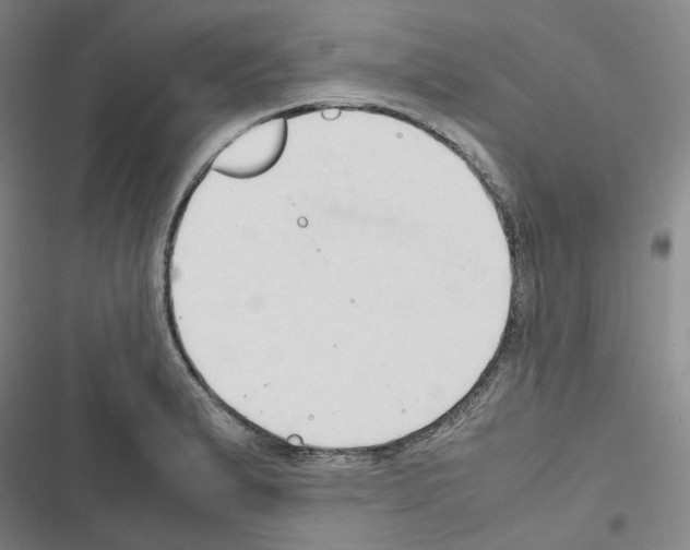 X0000116681183201001251253