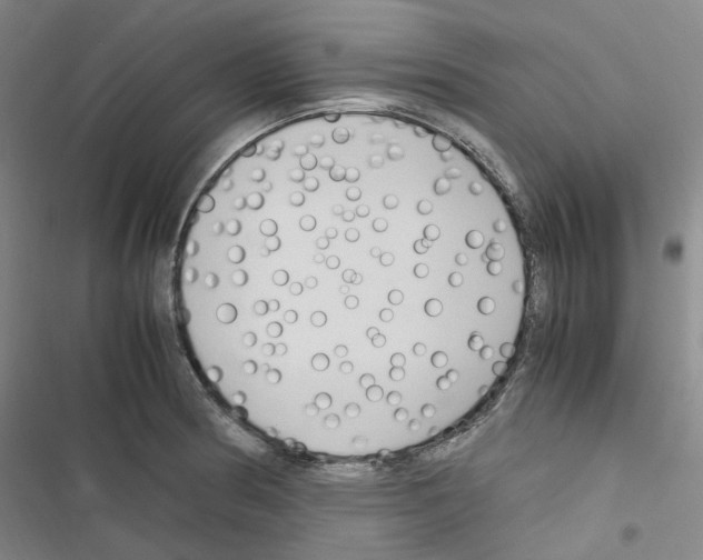 X0000116681186201001251253