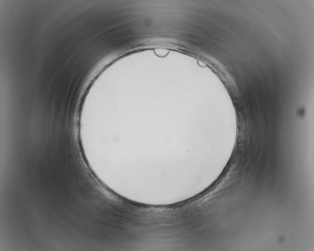 X0000116681188201001251253