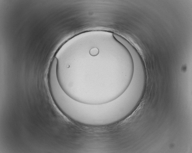 X0000116681189201001251253