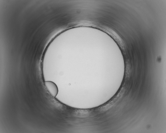 X0000116681190201001251253