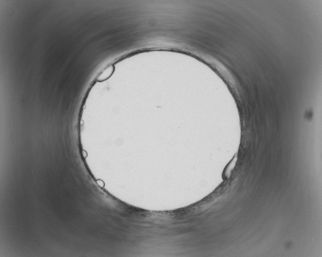 X0000116681191201001251253