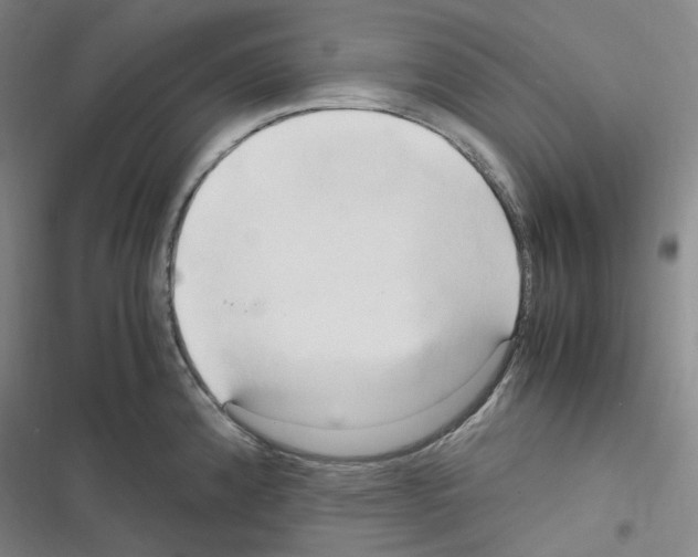 X0000116681192201001251253