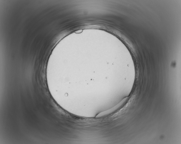 X0000116681193201001251253