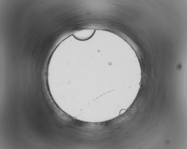 X0000116681195201001251253