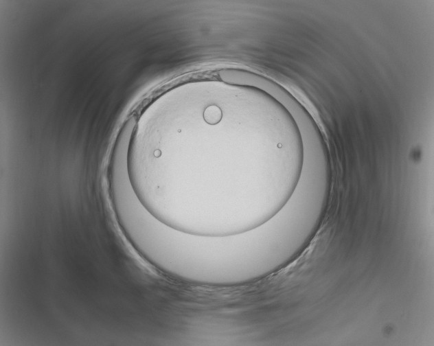 X0000116681197201001251253