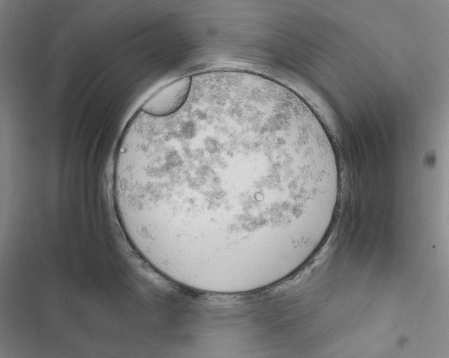 X0000116681198201001251253