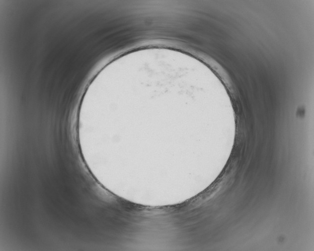 X0000116681199201001251253