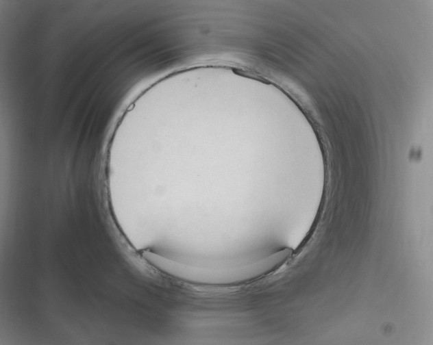 X0000116681200201001251253