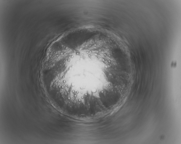 X0000116681201201001251252