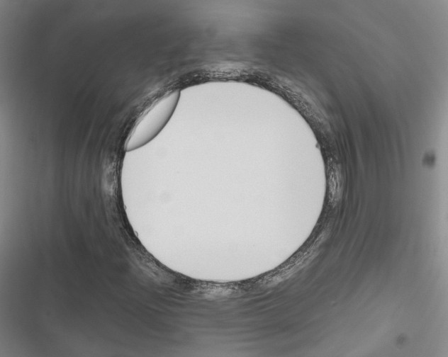 X0000116681204201001251253