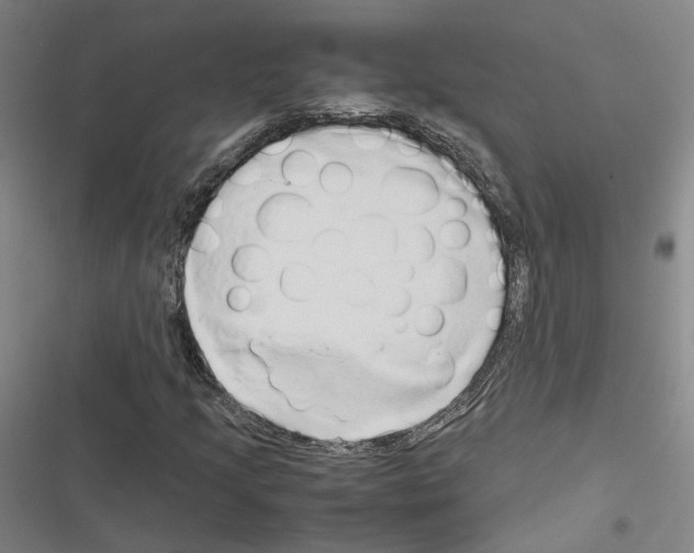 X0000116681205201001251253