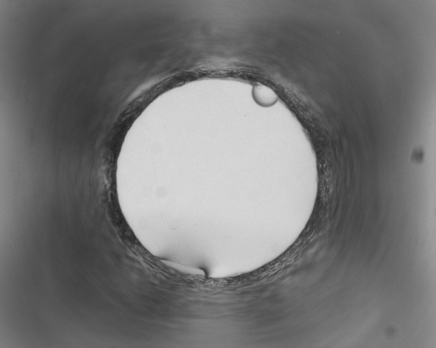 X0000116681206201001251253