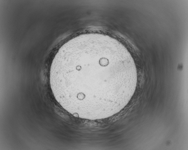 X0000116681207201001251253