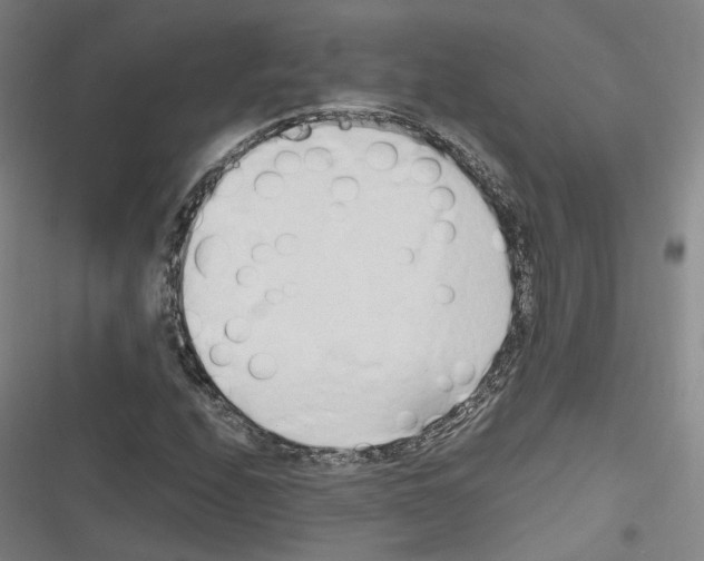 X0000116681208201001251253