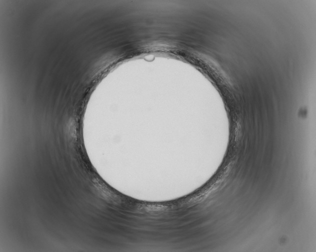 X0000116681209201001251253