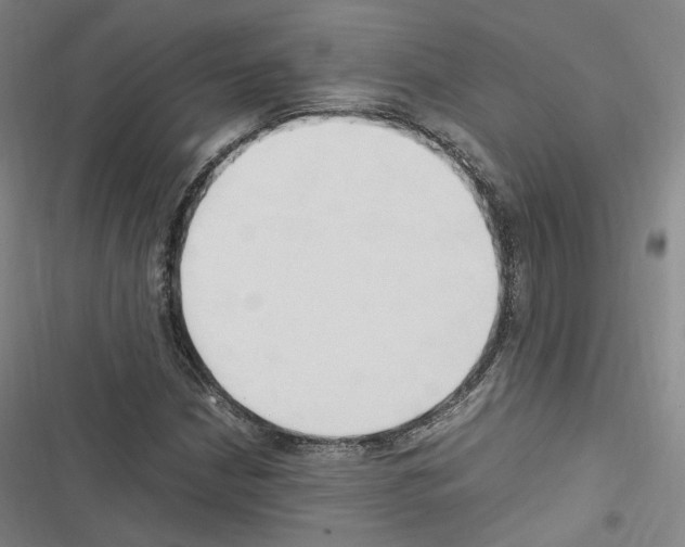 X0000116681210201001251253