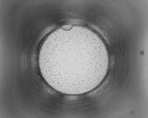 X0000116681211201001251253