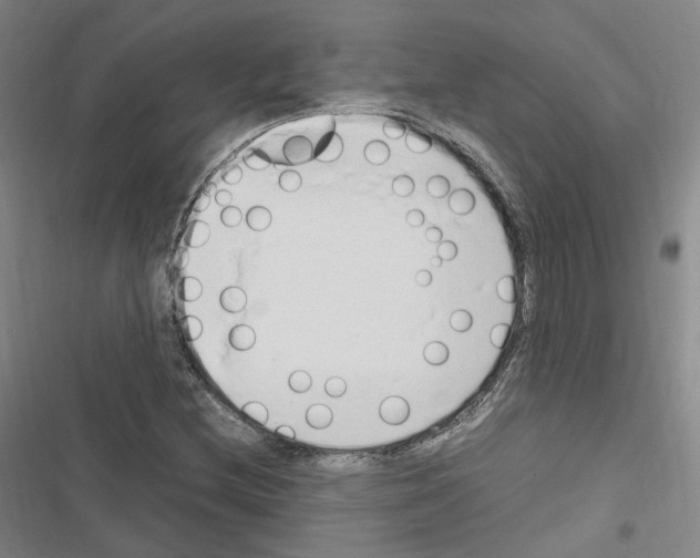 X0000116681212201001251253