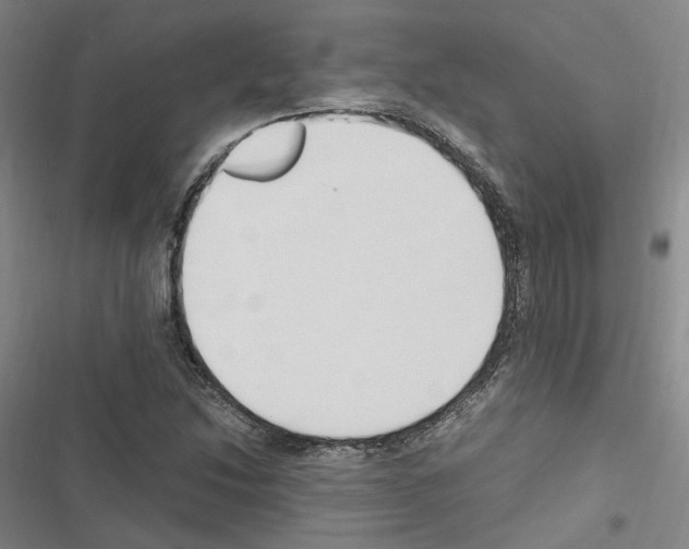 X0000116681214201001251253