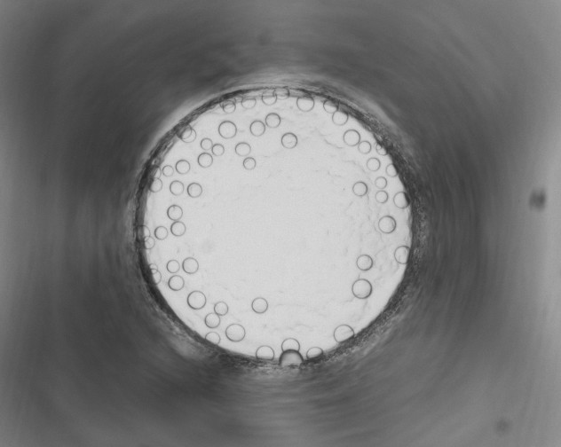 X0000116681216201001251253