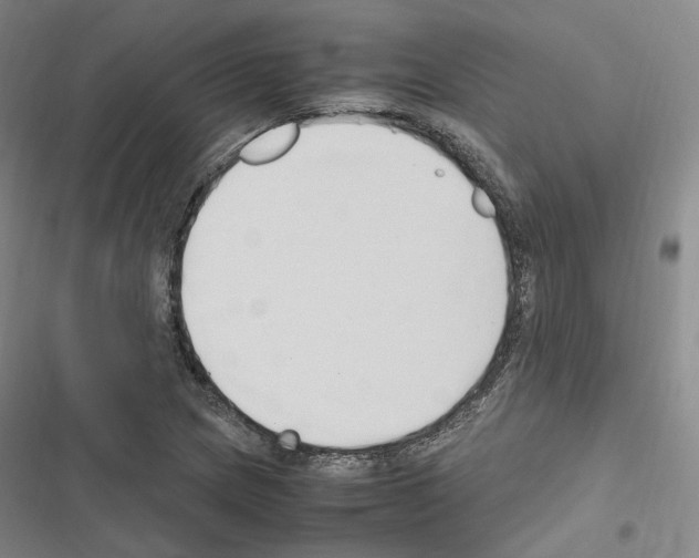 X0000116681217201001251253