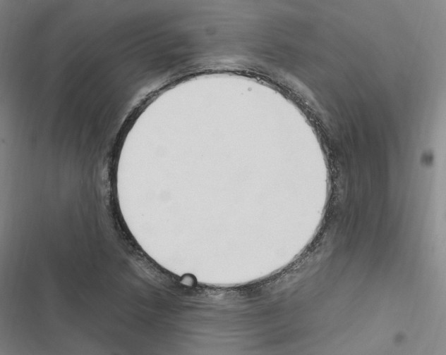 X0000116681218201001251253