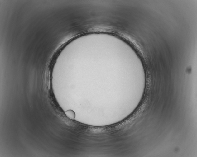 X0000116681219201001251253