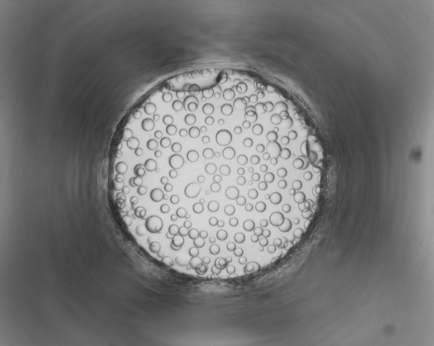 X0000116681220201001251253