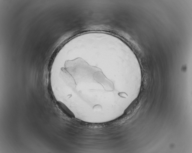 X0000116681221201001251253