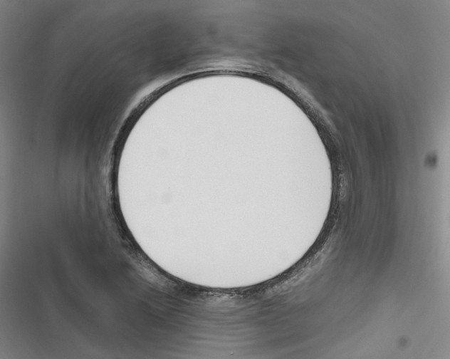 X0000116681222201001251253