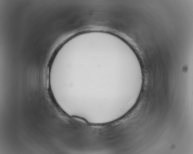 X0000116681223201001251253