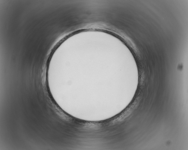 X0000116681224201001251253