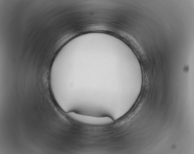 X0000116681225201001251253