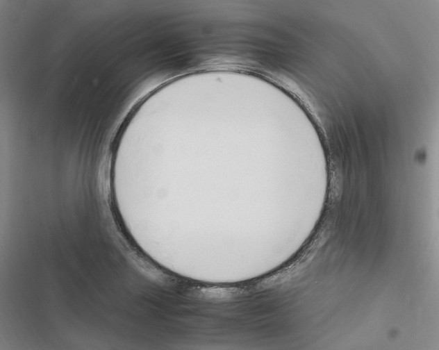 X0000116681227201001251253