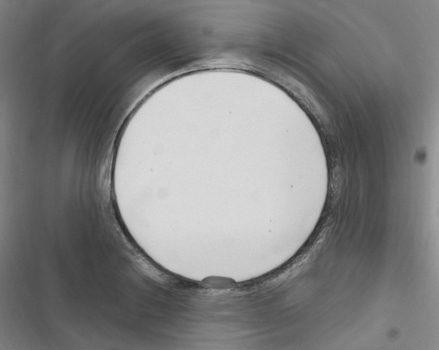 X0000116681228201001251253