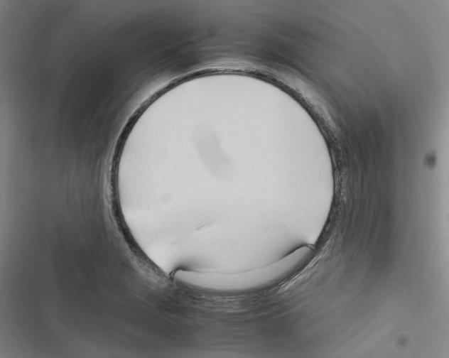 X0000116681229201001251253