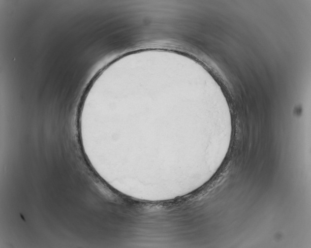 X0000116681230201001251253