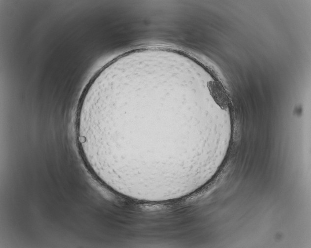 X0000116681231201001251253