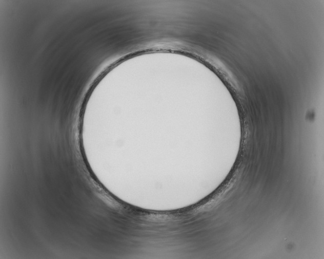 X0000116681232201001251253